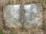 image of grave number 353878
